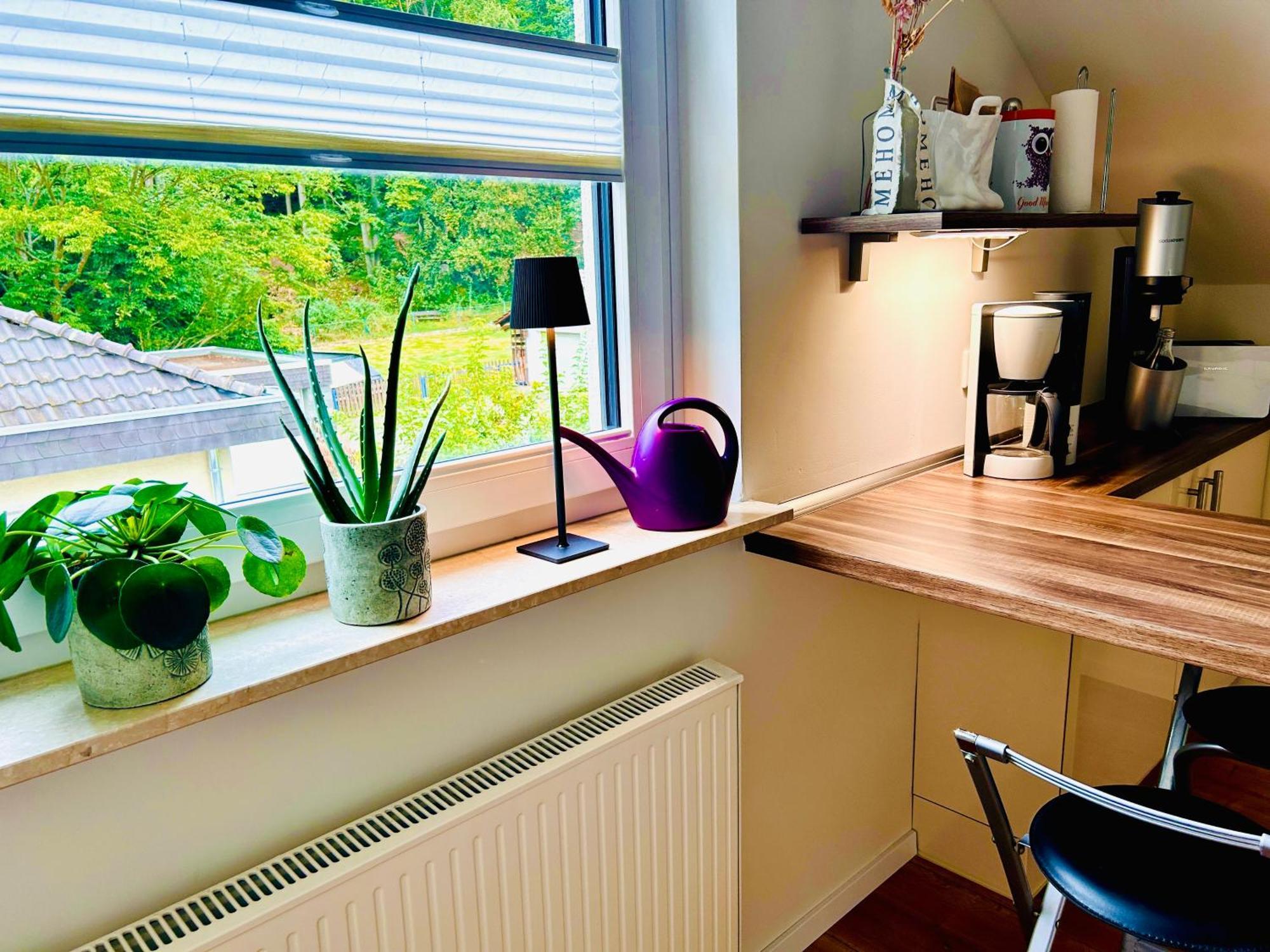 Ferienwohnung "Bei Freunden" Naumburg  Kültér fotó